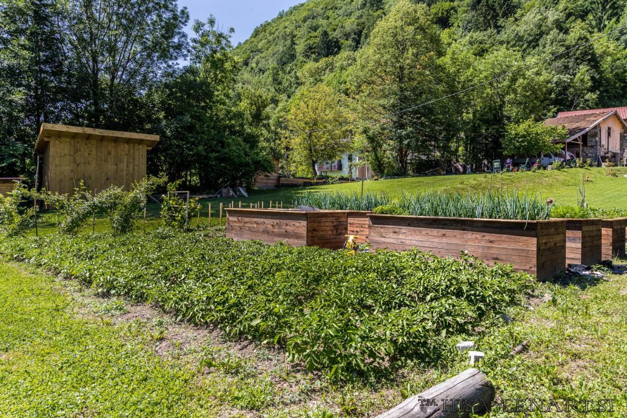 Hisa Lenart Appartement Tolmin Buitenkant foto