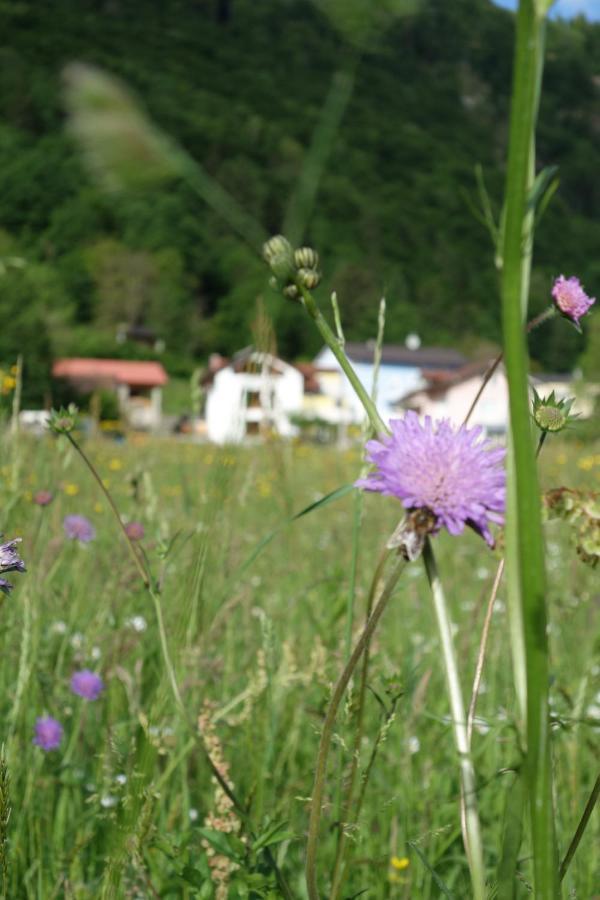 Hisa Lenart Appartement Tolmin Buitenkant foto