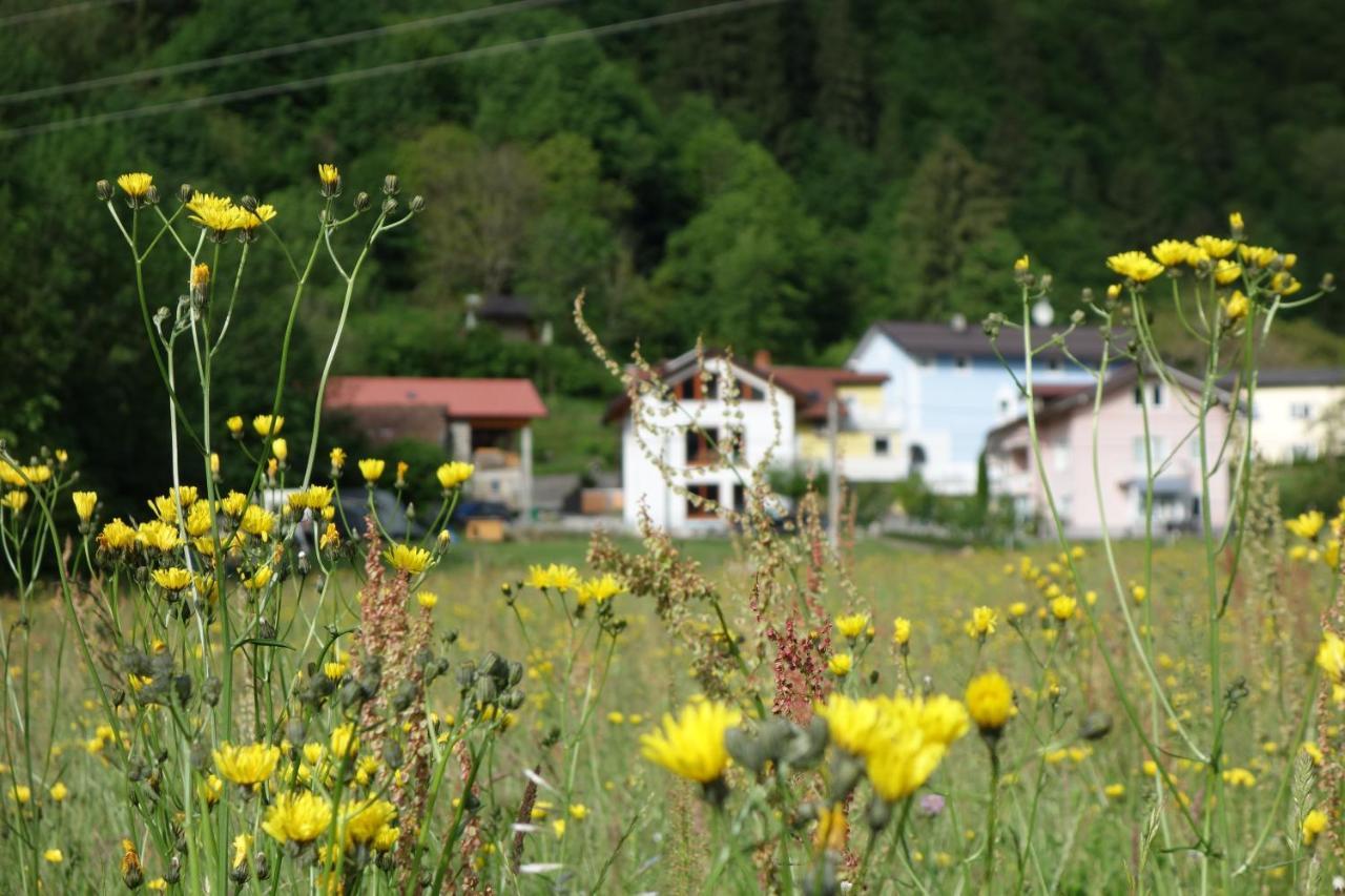 Hisa Lenart Appartement Tolmin Buitenkant foto