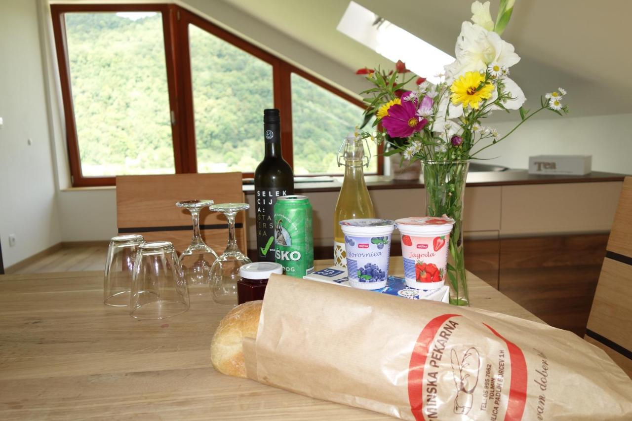 Hisa Lenart Appartement Tolmin Buitenkant foto