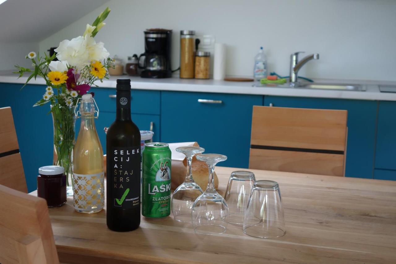 Hisa Lenart Appartement Tolmin Buitenkant foto