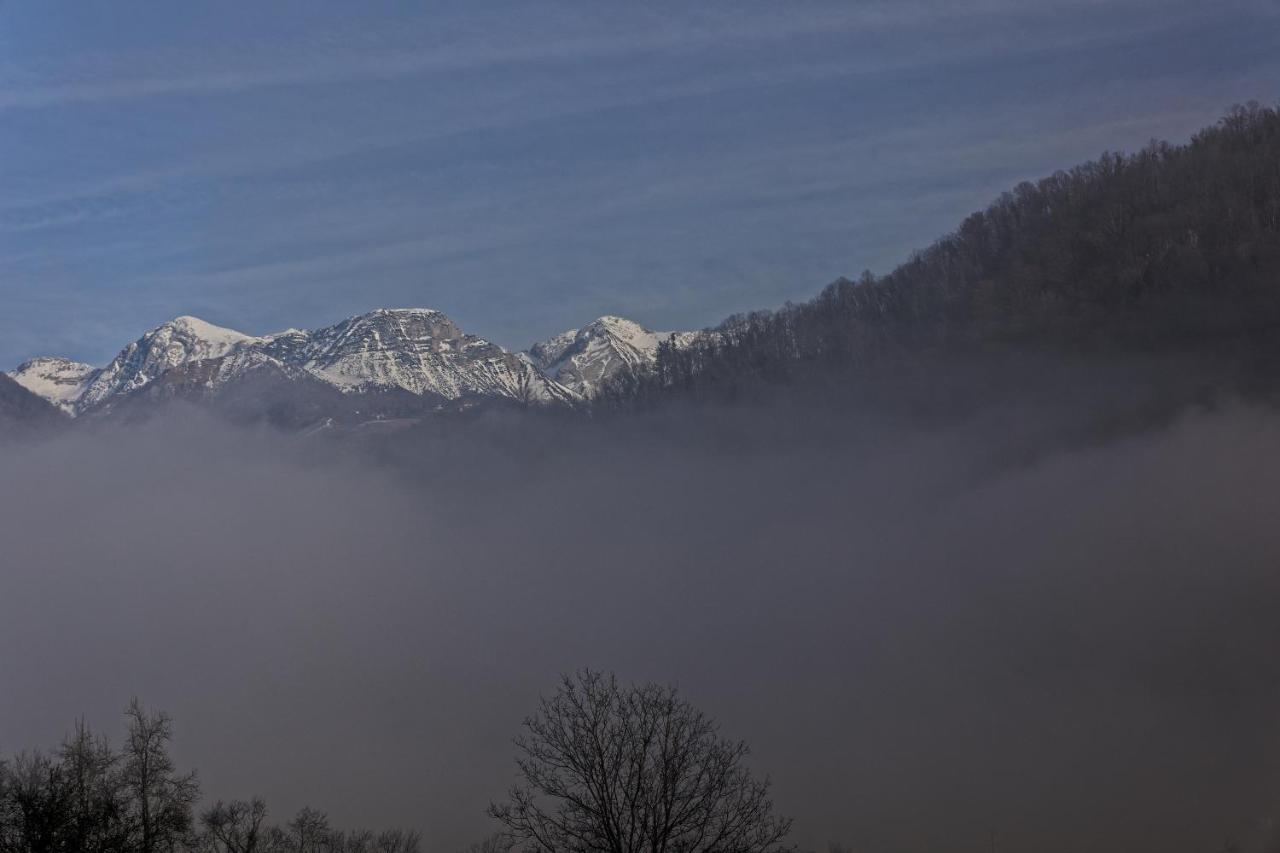 Hisa Lenart Appartement Tolmin Buitenkant foto